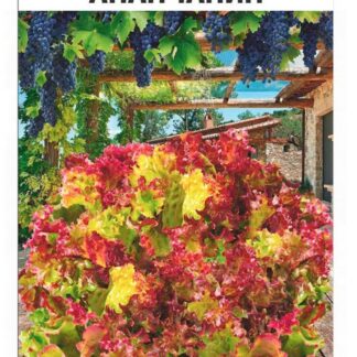 Салат Анапчанин