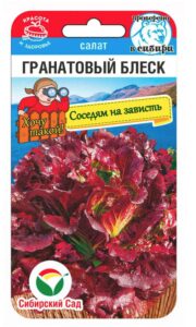 Салат Гранатовый блеск