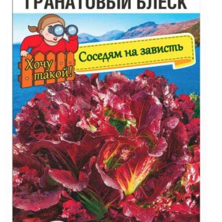 Салат Гранатовый блеск