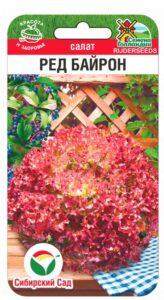 Салат Ред Байрон