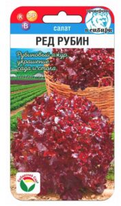 Салат Ред Рубин