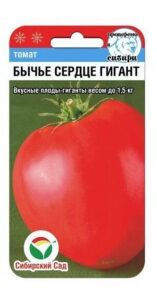 Томат Бычье сердце гигант