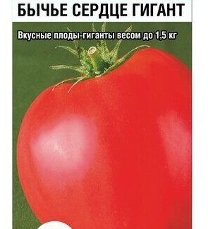 Томат Бычье сердце гигант