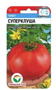 Томат Суперклуша