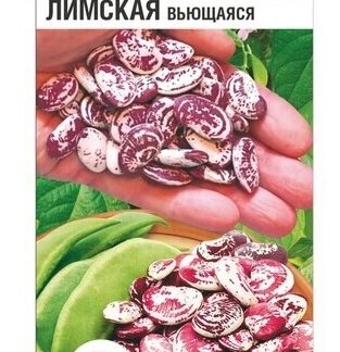 Фасоль Лимская