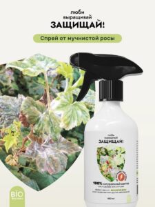 Спрей Защищай! от мучнистой росы