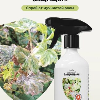 Спрей Защищай! от мучнистой росы
