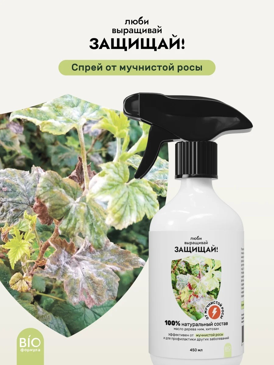 Спрей Защищай! от мучнистой росы