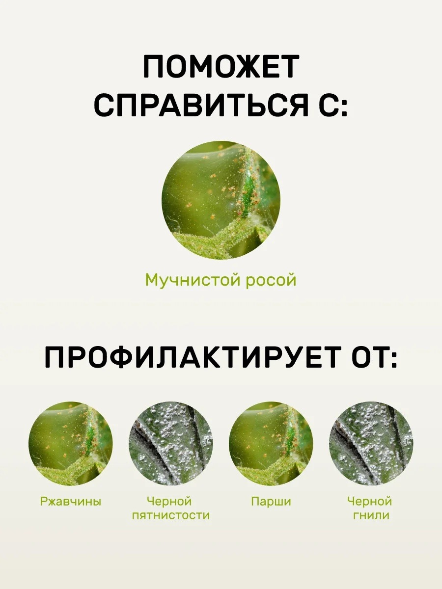 Спрей Защищай! от мучнистой росы — изображение 3