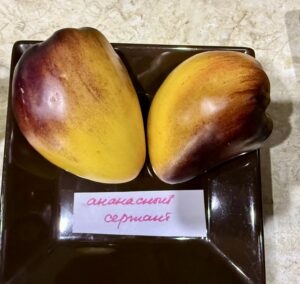 Томат коллекционный Ананасный сержант