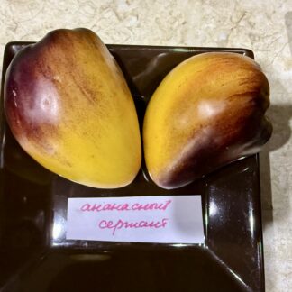 Томат коллекционный Ананасный сержант