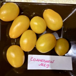 Коллекционный томат Солнечный мёд
