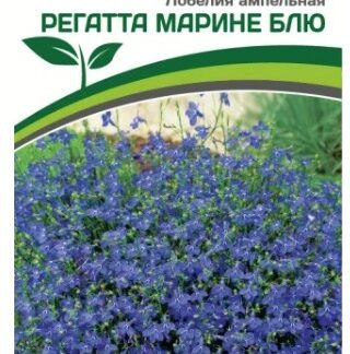 Лобелия ампельная РЕГАТТА МАРИНЕ БЛЮ