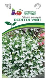 Лобелия ампельная РЕГАТТА УАЙТ