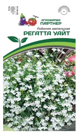 Лобелия ампельная РЕГАТТА УАЙТ