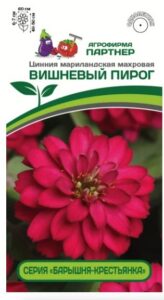 Цинния ВИШНЕВЫЙ ПИРОГ / мариландская махровая