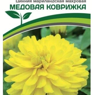 Цинния МЕДОВАЯ КОВРИЖКА / мариландская махровая