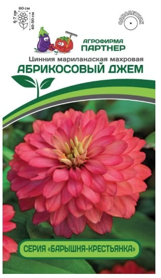 Цинния АБРИКОСОВЫЙ ДЖЕМ / мариландская махровая