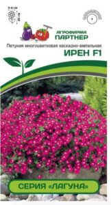 Петуния серия "Лагуна" ИРЕН F1 / многоцветковая каскадно-ампельная