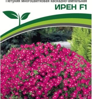 Петуния серия "Лагуна" ИРЕН F1 / многоцветковая каскадно-ампельная