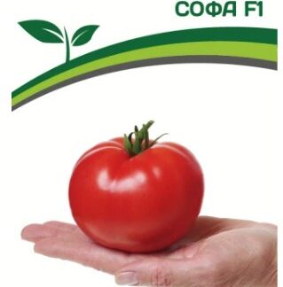 Партнер Томат СОФА F1