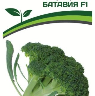 Партнер Капуста брокколи БАТАВИЯ F1