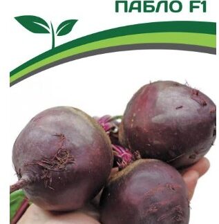 Партнер Свекла столовая ПАБЛО F1