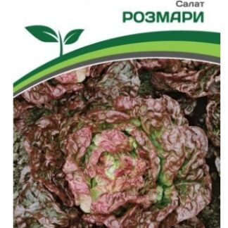 Партнер Салат кочанный РОЗМАРИ