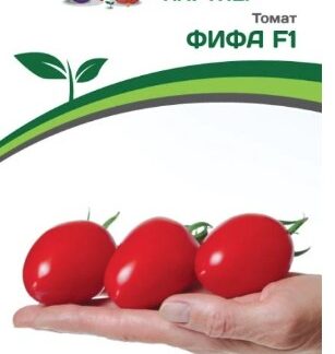 Партнер Томат ФИФА F1
