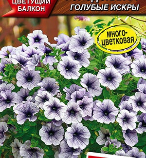Петуния Городская F1 голубые искры