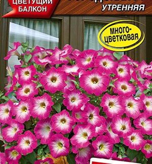 Петуния Городская утренняя