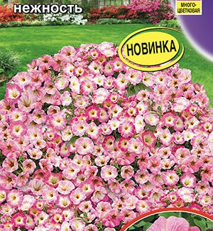 Петуния Джоконда F1 нежность