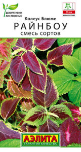 Колеус блюме Райнбоу, смесь сортов