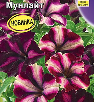 Петуния Романтика F1 мунлайт