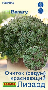 Очиток (Седум) краснеющий Лизард
