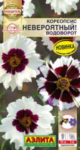 Кореопсис Невероятный! водоворот