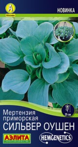 Мертензия приморская Сильвер Оушен