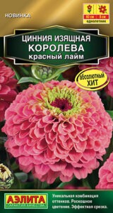 Цинния Королева красный лайм