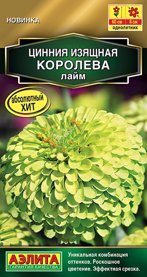 Цинния Королева лайм