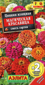 Цинния Магическая красавица, смесь сортов