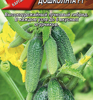 Огурец Дошколята F1