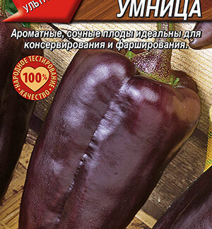 Перец сладкий Большая умница