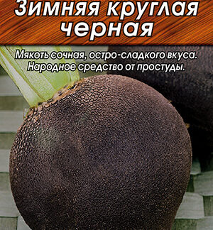 Редька Зимняя круглая черная