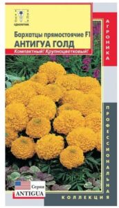 Бархатцы прямостоячие Антигуа Голд F1 Плазмас