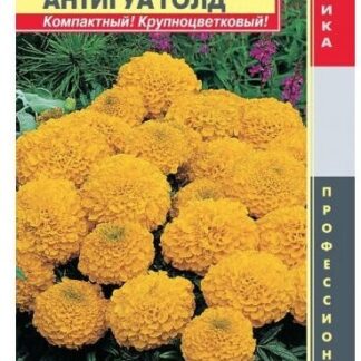 Бархатцы прямостоячие Антигуа Голд F1 Плазмас