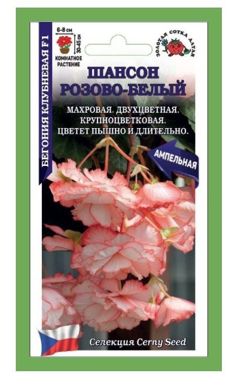 Бегония Шансон F1 розово-белая ЗСА