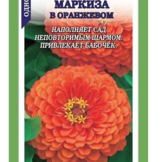 Цинния Маркиза в Оранжевом