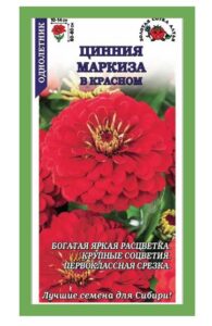 Цинния Маркиза в Красном