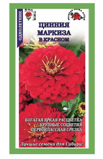 Цинния Маркиза в Красном