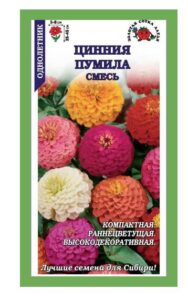 Цинния Пумила смесь